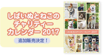 5年ぶりの再会 かぼすちゃんとおさんぽ Powered By ライブドアブログ