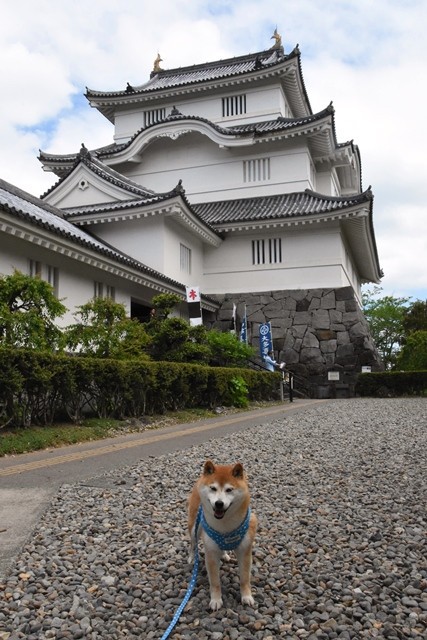 大多喜ハーブガーデンに行ってきました かぼすちゃんとおさんぽ Powered By ライブドアブログ