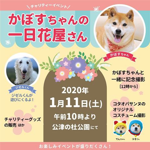 かぼすちゃんの一日花屋さんの商品を募集しています かぼすちゃんとおさんぽ Powered By ライブドアブログ