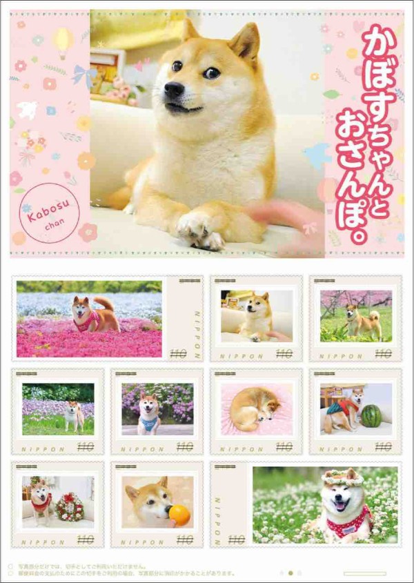 ステンドグラスの光に包まれて : かぼすちゃんとおさんぽ。 Powered by