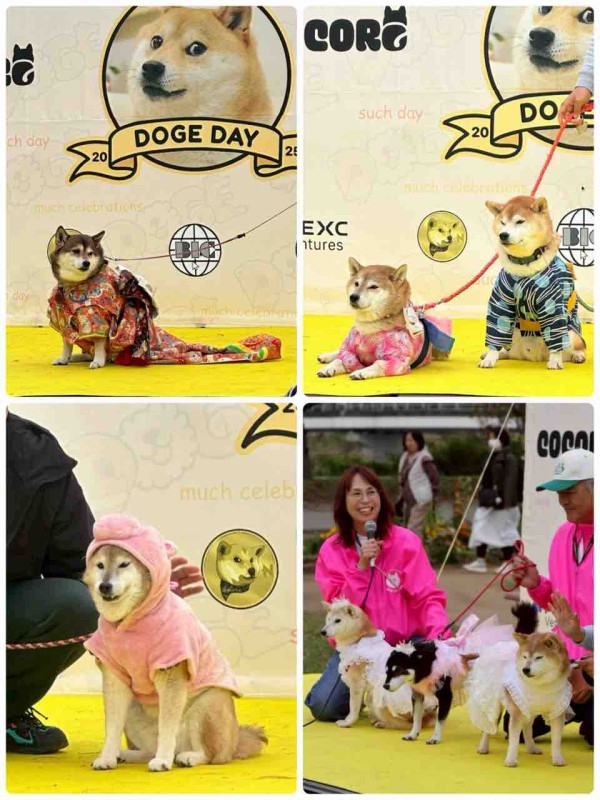 みなさん、ありがとう！Doge Dayのご報告です : かぼすちゃんと