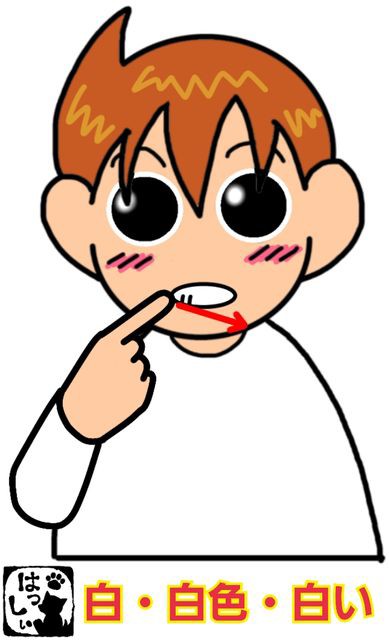 手話単語 ３４６ 白 白色 白い 手話しゅわshushushu