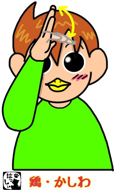 手話単語 ４９３ 鶏 かしわ 鳥 手話しゅわshushushu