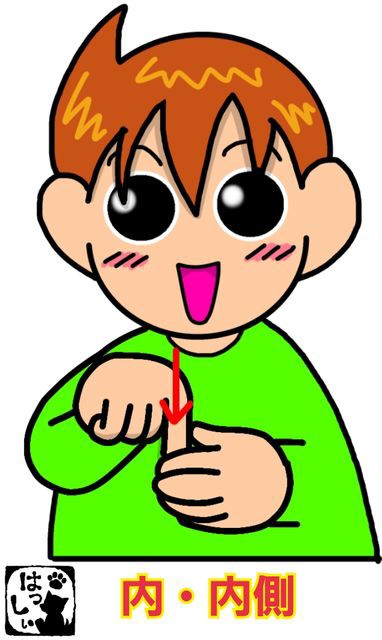 手話単語 ５１１ 内 内側 手話しゅわshushushu