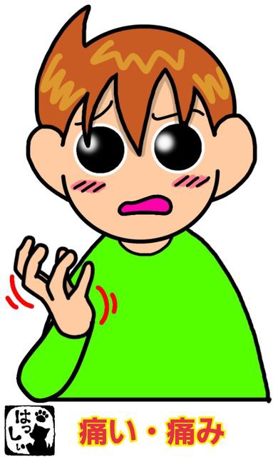 手話単語 ７５ 痛い 痛み 手話しゅわshushushu