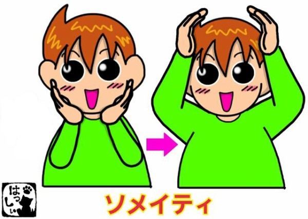 手話単語：1114 【ソメイティ】 : 手話しゅわSHUSHUSHU Powered by