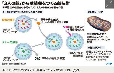 世界初 3人のdnaを持つ赤ちゃん誕生 米チームがメキシコで成功 ひとりごと 検証ブログ