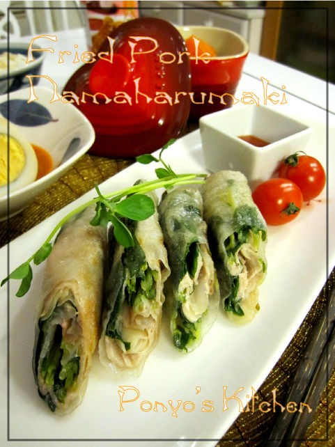 豚肉とニラの揚げ生春巻き 豊かな食は ハッピーの素