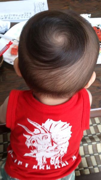 銀河系の中心 ツムジを覗くときツムジもまた 育児屋カゲゾウの今日は子どもと何にしよう