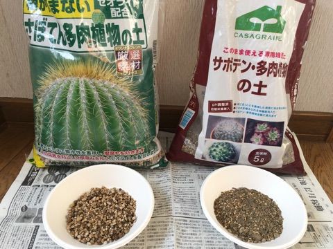 多肉初心者 土と鉢について試みる Succulent