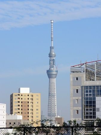 ワンダーランド上野 御徒町 かぐやひめのぼちぼちいこか日記