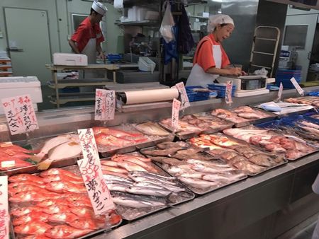 卵パックと魚屋さん かぐやひめのぼちぼちいこか日記