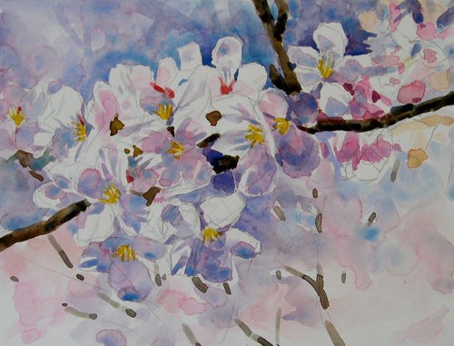 水彩画の描き方 桜 完成 おさむの透明水彩画教室 Osamu S Watercolor Class