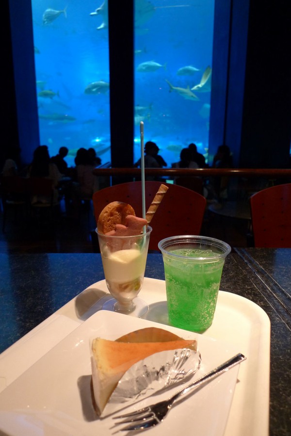 カフェ オーシャンブルー 美ら海水族館 菊さんの食い倒れ万遊記 うまいもの食べ歩きグルメ日記 カフェ オーシャンブルー 美ら海水族館 菊さんの食い倒れ万遊記 うまいもの食べ歩きグルメ日記