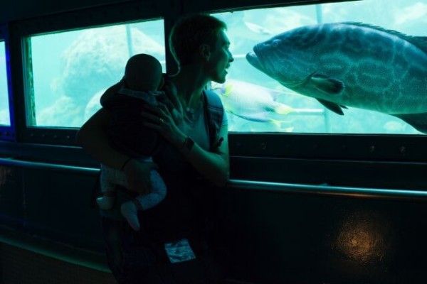 大魚ゲットだぜ リアル川のぬし釣りをしてしまった少年が話題に 海外の反応 翻訳ちゃんねる 海外の反応まとめブログ