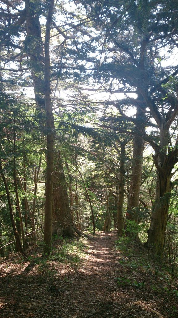 登米市津山 柳津虚空蔵尊 里山観光 宮城編