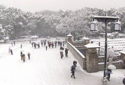 オーストラリア人だけど 日本の冬ってどんだけ寒いの 海外の反応 海外の反応プリーズ オーストラリア人だけど 日本の冬ってどんだけ寒いの 海外の反応 海外の反応プリーズ