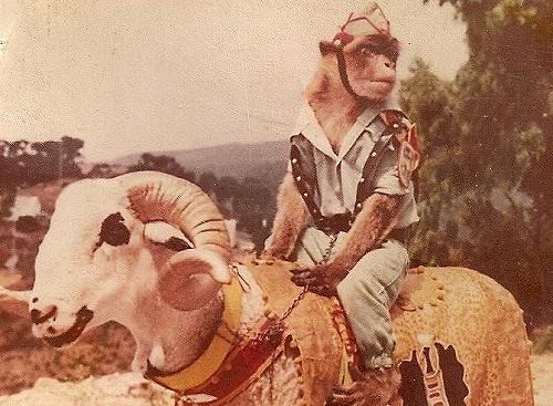 スペインの外人部隊が 男臭さムンムンだった 海外の反応 海外の反応プリーズ