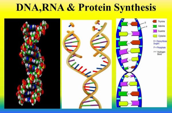 2C068F7E-4A2D-4FF2-BE10-0A87F2A6B718