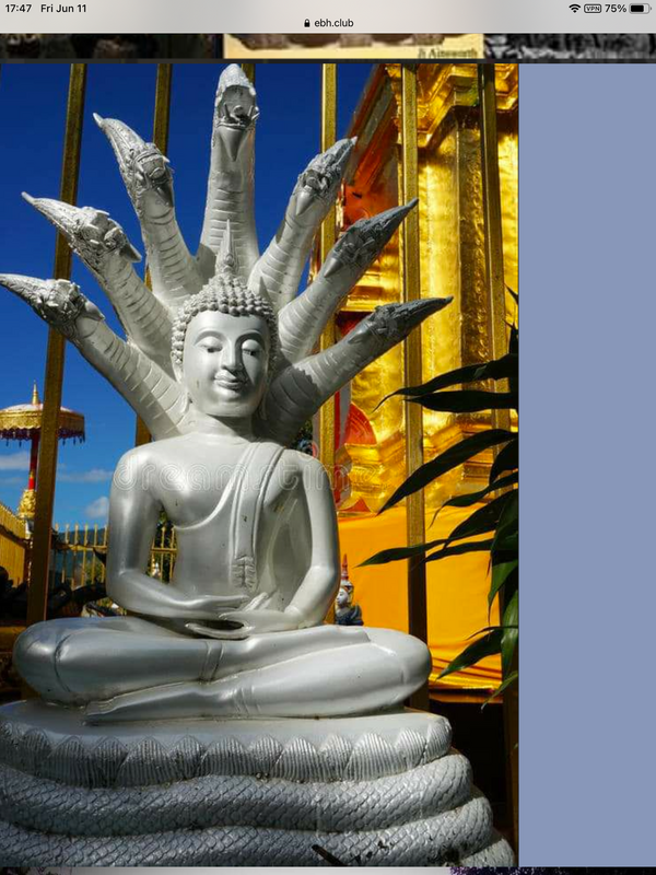 07DE4694-4A52-4F93-89A5-EE68F5D90F1B