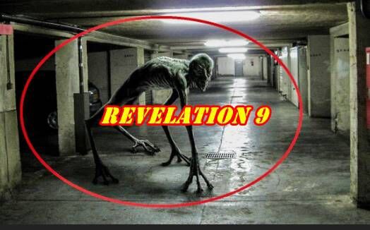 CA55C19B-F671-488D-A652-85E544BE18DE