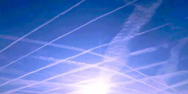E3115BA3-F90B-414D-8881-4C613F72B375