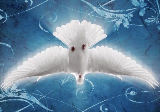 7C55378E-4215-4725-BCAE-615544763E72