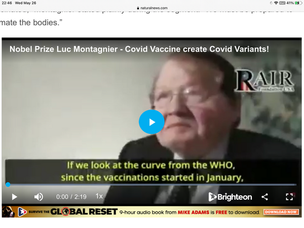 45E965C9-2C70-49A6-8BC1-0FD0C13214C2