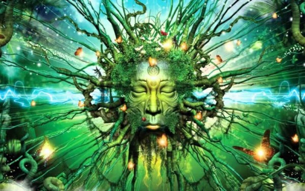 582D9E76-BABB-423C-B2CC-EE0AAD1645E8