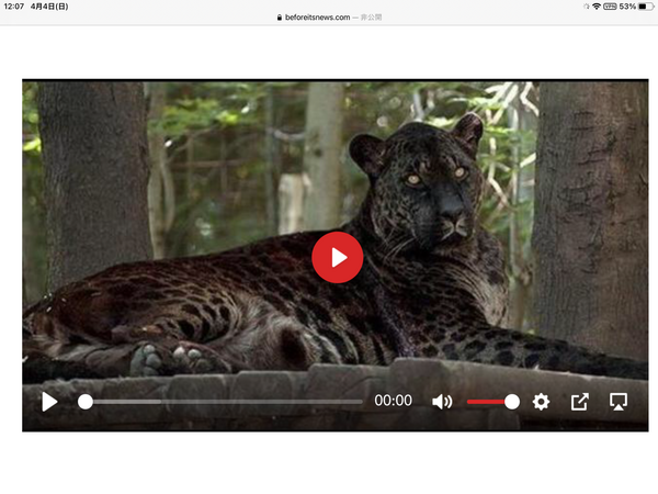 9B23D3E3-EB68-43B9-A894-78A2A143A428