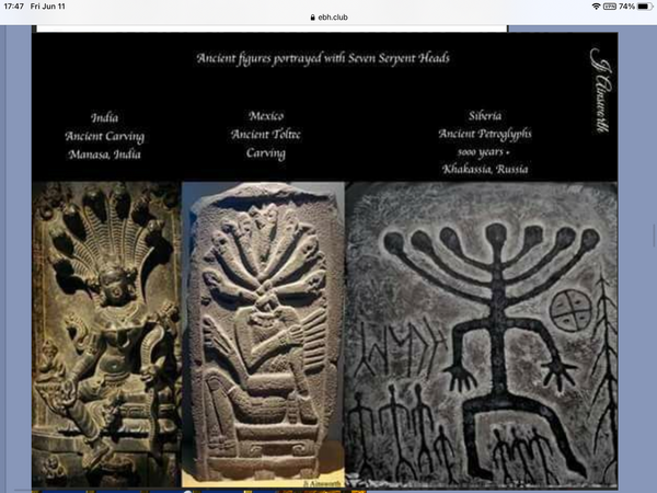 598ED024-23AD-450C-A329-7917AA3ED6D9