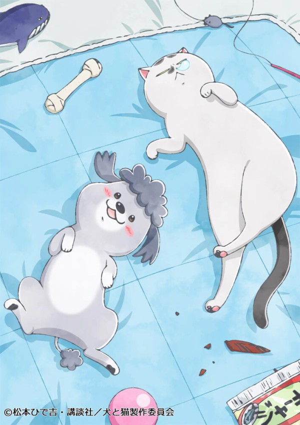 Tvアニメ 犬と猫どっちも飼ってると毎日たのしい のキービジュアル第3弾が公開 柏の葉サイクルライフ ロードバイク 柏レイソル アニメ デジギア情報