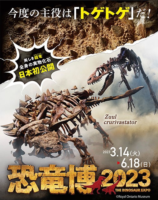 特別展「恐竜博2023」国立科学博物館 鎧竜ズール・クルリヴァスタトル