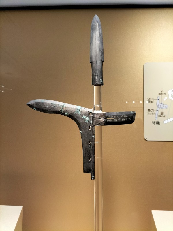 日中国交正常化50周年記念「兵馬俑と古代中国～秦漢文明の遺産～」上野