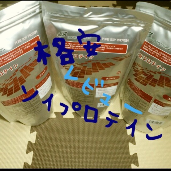 格安 ソイプロテインレビュー編 絞れた体を目指そう Kaitoの筋トレ ダイエット相談所 格安 ソイプロテインレビュー編 絞れた体を目指そう Kaitoの筋トレ ダイエット相談所