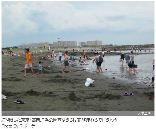 牡蠣で東京の海水浴場が51年ぶりに悲願の復活 カキペディア 牡蠣百科 Powered By ライブドアブログ