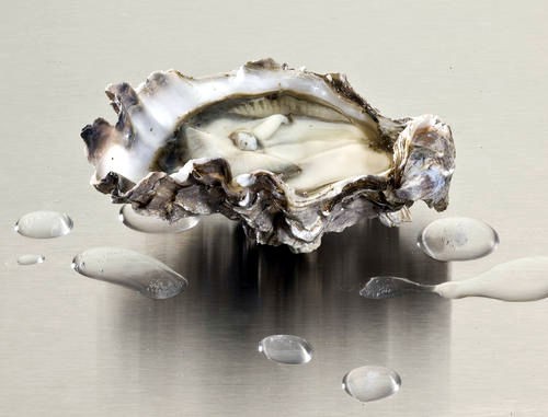 アメリカ人が選ぶ ５大オイスター カキペディア 牡蠣百科 Powered By ライブドアブログ