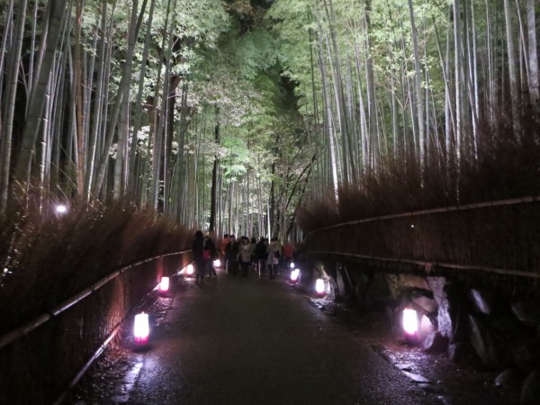 京都嵐山 花灯路14 竹林の道へ 平日でも大混雑 千葉 京都観光 見て遊べるスポットを写真で紹介