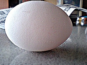 二卵 にらん の卵 たまご 卵ラン