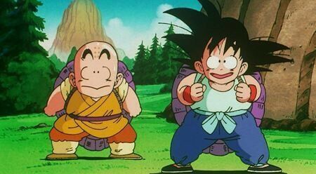 クリリンが背低いのってあの甲羅修行で骨やられてるだろ ドラゴンボールまとめちゃんねる クリリンが背低いのってあの甲羅修行で骨やられてるだろ ドラゴンボールまとめちゃんねる