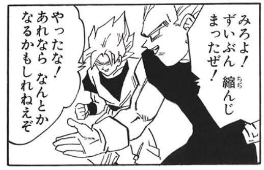 ドラゴンボール 仲良しサイヤ人2人組ｗｗｗｗｗ ドラゴン速報