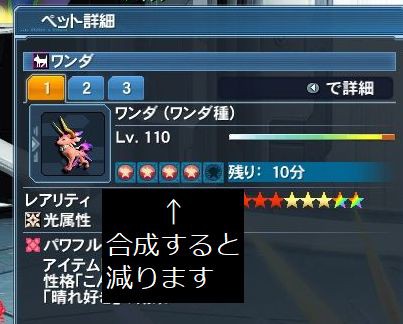 サモナーで遊んでみよう その１ Pso2 さもせん