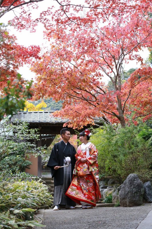 ショップ 鎌倉 紅葉 着物