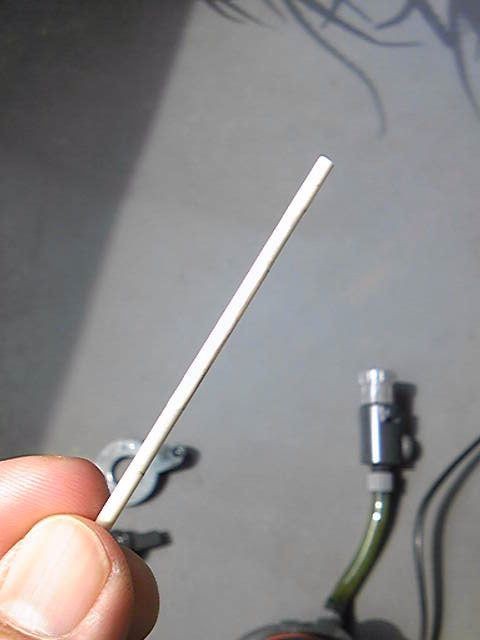 エーハイム２２１１のガラガラ音 水槽日記 Kamehinaoのお気楽日記３