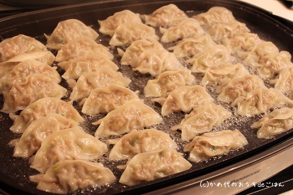 ホットプレートで豚と長ねぎのシンプル餃子 簡単な包み方 かめ代のおうちでごはん Powered By ライブドアブログ