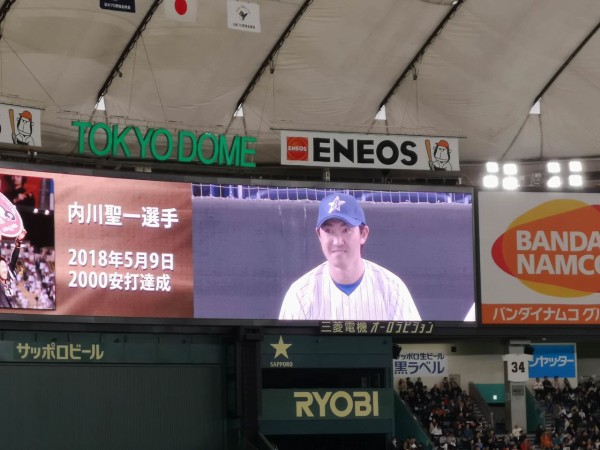 最新 お ナイトゥー