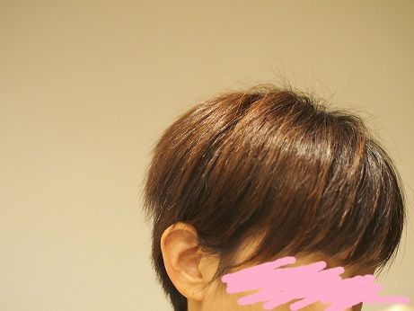 事の始まり ショートからロングヘアになるまでのブログ パート２