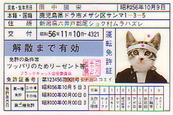 画像をダウンロード なめ 猫 免許 センター 最高の画像壁紙日本aad