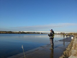 茨城県久慈川での鮭釣り釣果と仕掛けの紹介 かるがも日記