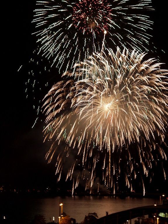 第46回さぬき高松まつり花火大会 どんどん高松 時の流れに